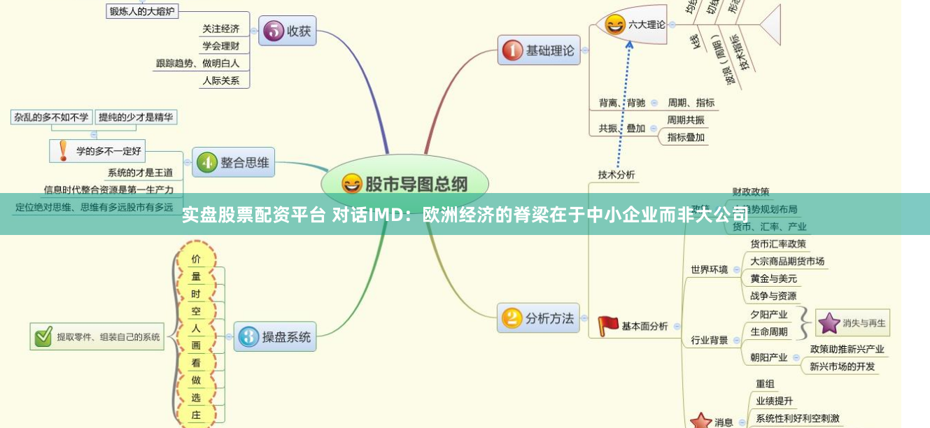 实盘股票配资平台 对话IMD：欧洲经济的脊梁在于中小企业而非大公司