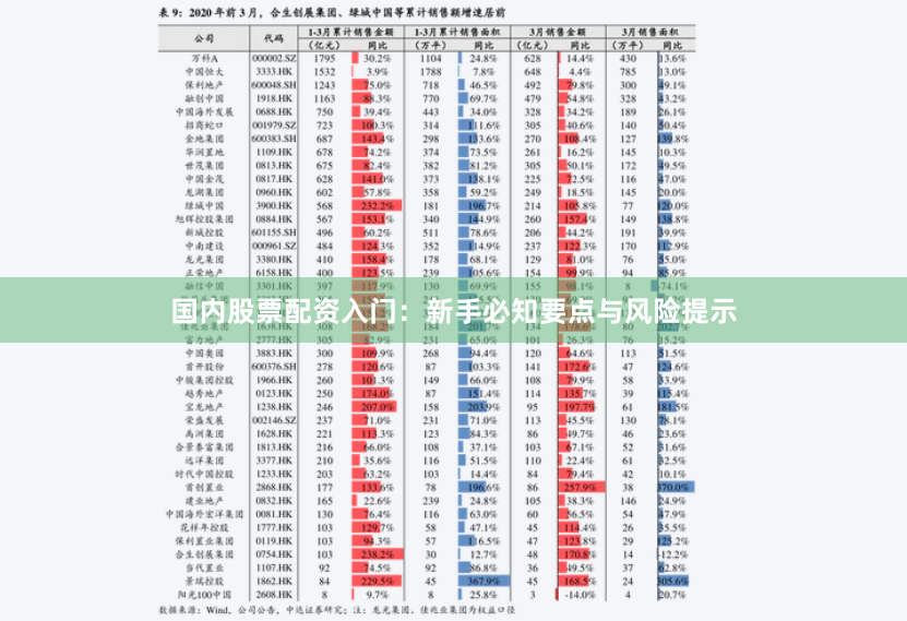 国内股票配资入门：新手必知要点与风险提示